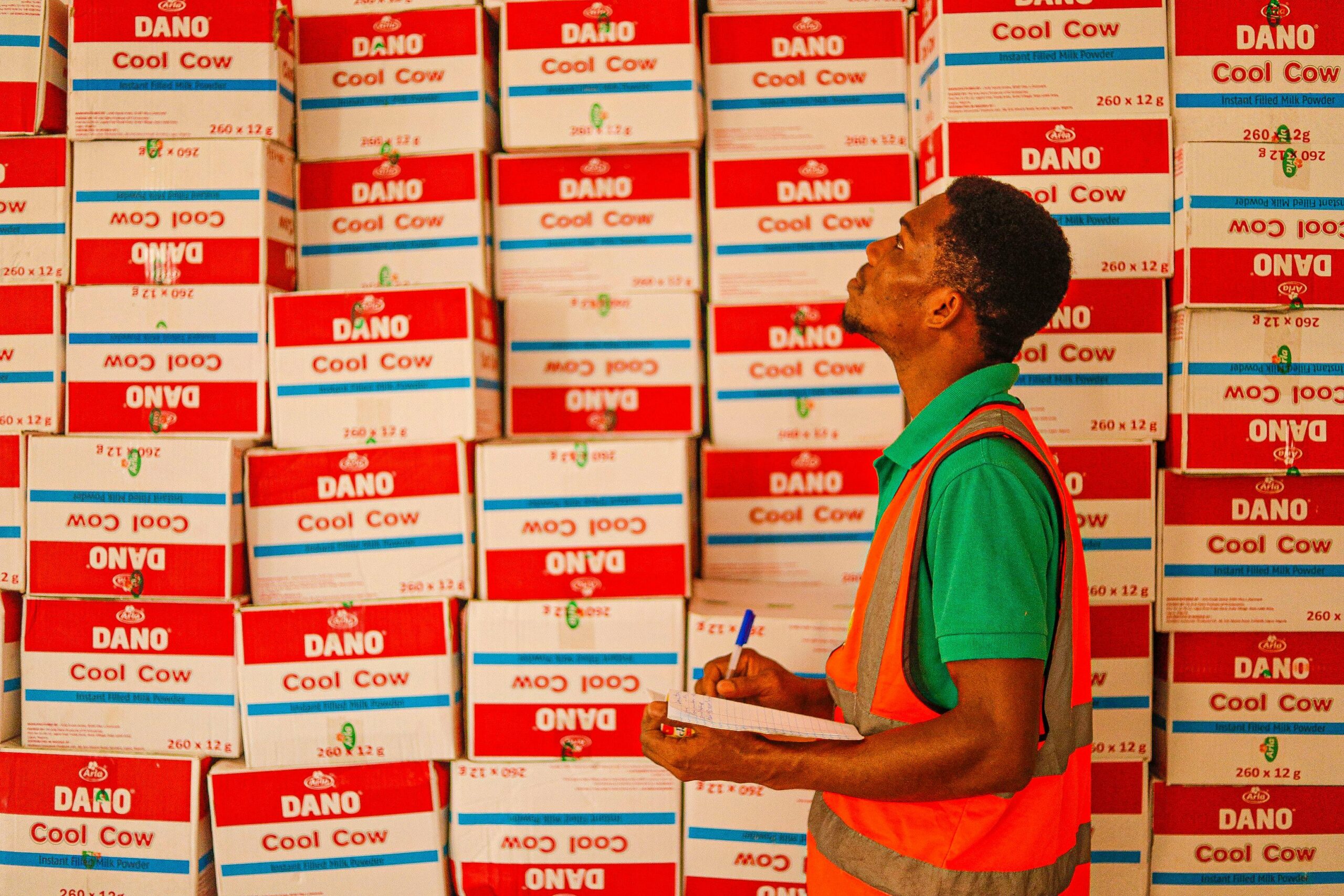 A warehouse worker examining stacked boxes labeled 'Dano Cool Cow'.